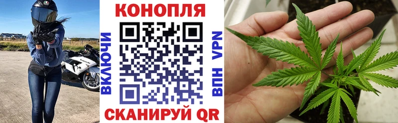 Шишки марихуана ГИДРОПОН Юрьев-Польский